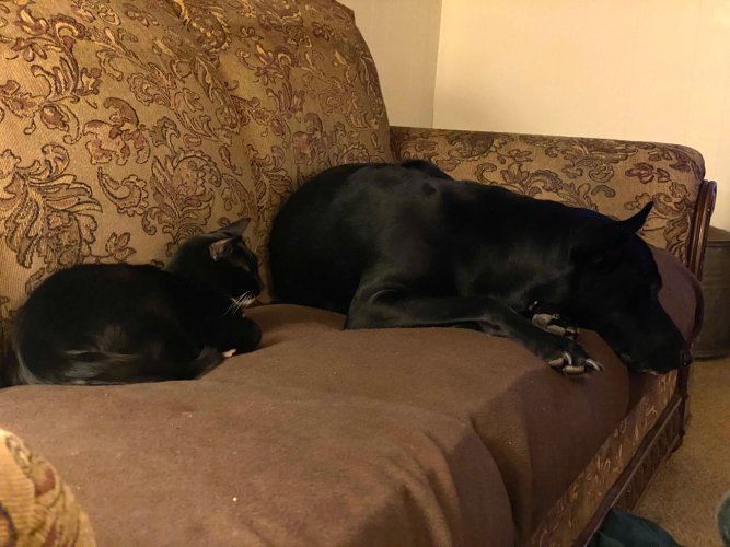 Riley and Maggie.jpg