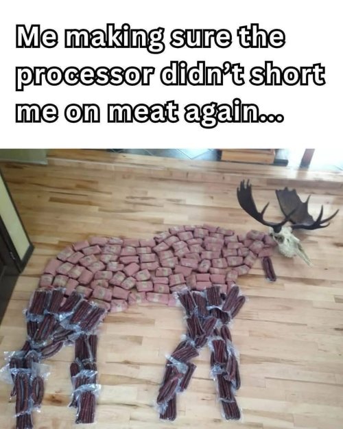 IMG_8569.jpeg