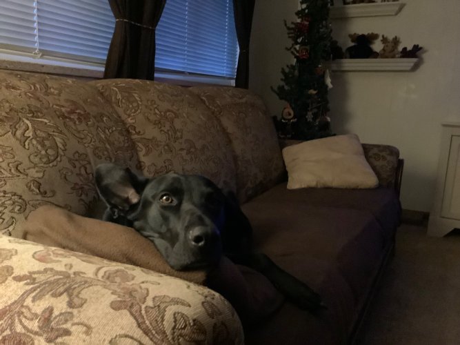 IMG_0387.jpeg