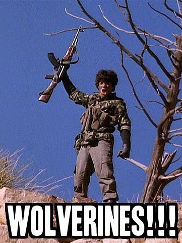 3k52siF.jpeg