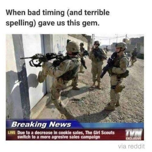 IMG_8751.jpeg