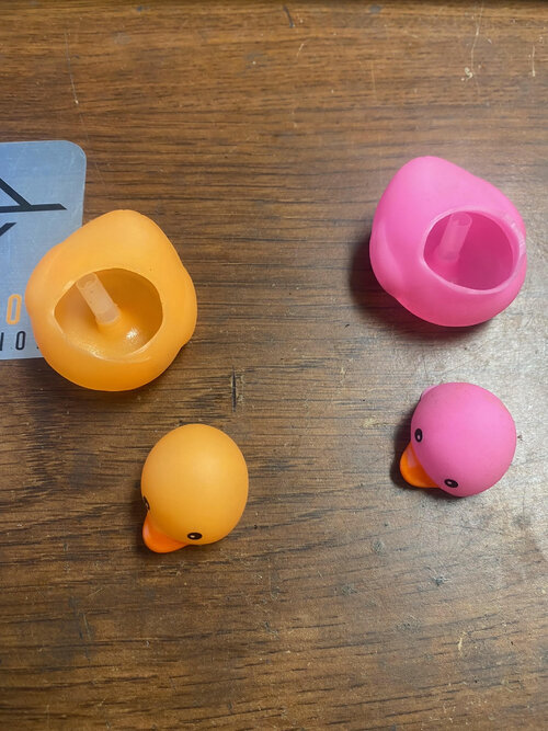 Sad Ducks.jpg