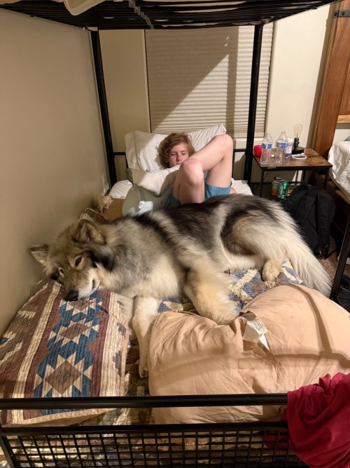 IMG_4047.jpeg