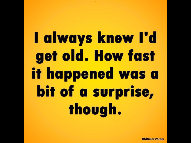 IMG_9155.png
