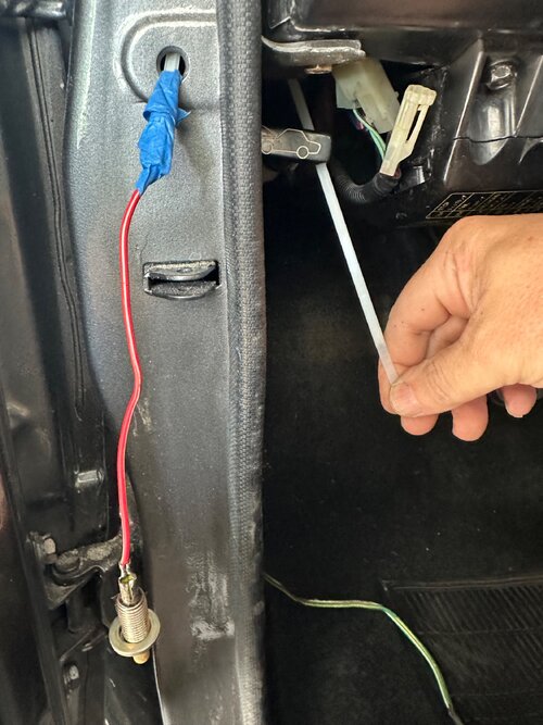 IMG_9205.jpeg IMG_9205.jpeg