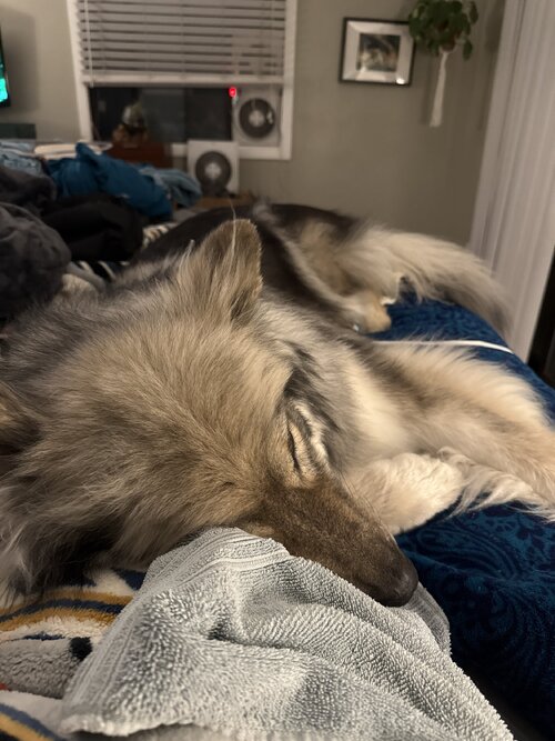 IMG_5618.jpeg IMG_5618.jpeg