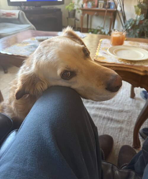 IMG_0326.jpeg IMG_0326.jpeg