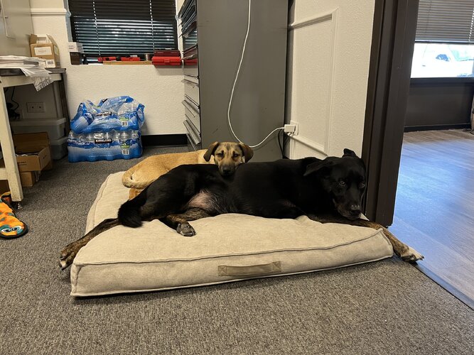 IMG_6047.jpeg IMG_6047.jpeg