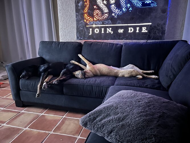 IMG_6064.jpeg IMG_6064.jpeg