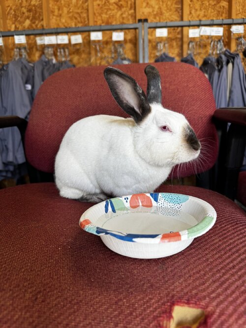 IMG_8402.jpeg IMG_8402.jpeg