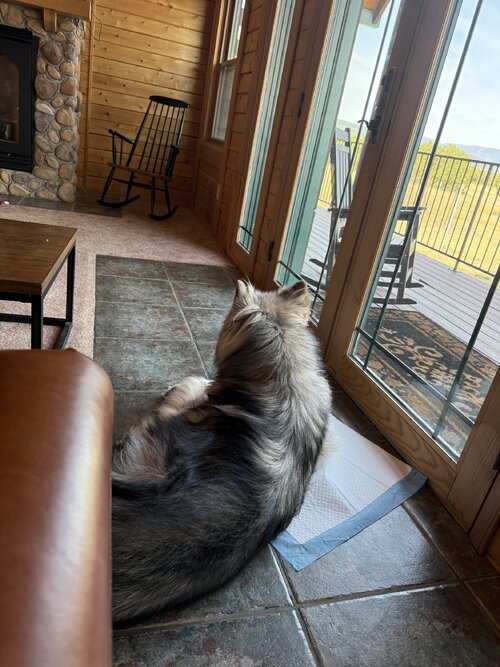 IMG_5902.jpeg IMG_5902.jpeg