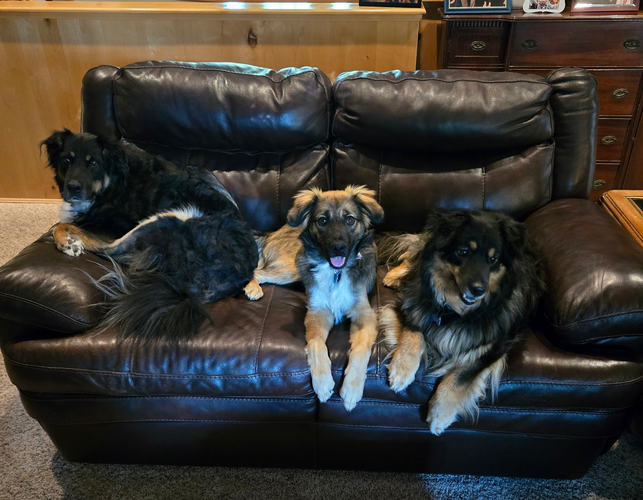 1756263239085.png 1756263239085.png