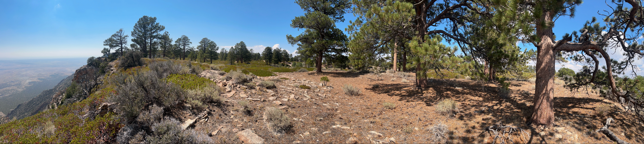 Screenshot 2025-09-03 at 10.08.35 AM.png