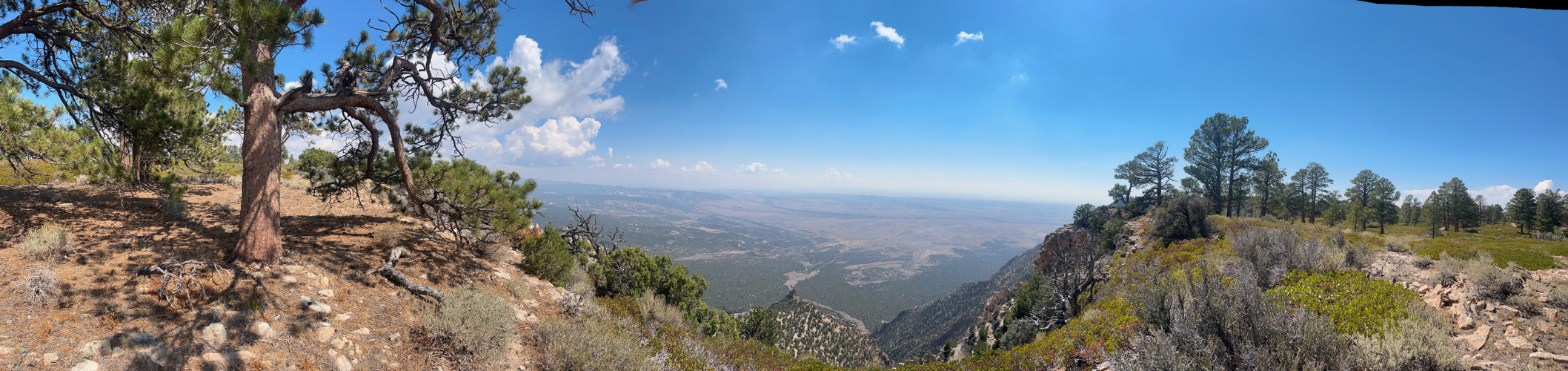 Screenshot 2025-09-03 at 10.08.48 AM.png