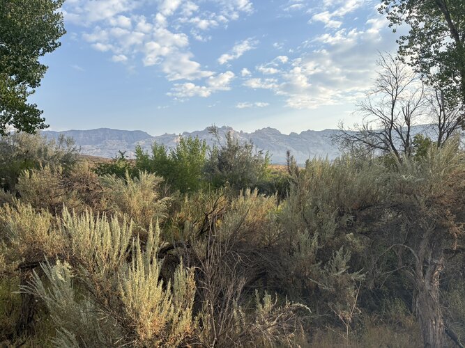 IMG_1989.JPEG IMG_1989.JPEG