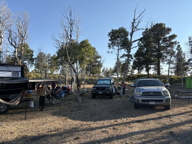 IMG_1994.JPEG IMG_1994.JPEG