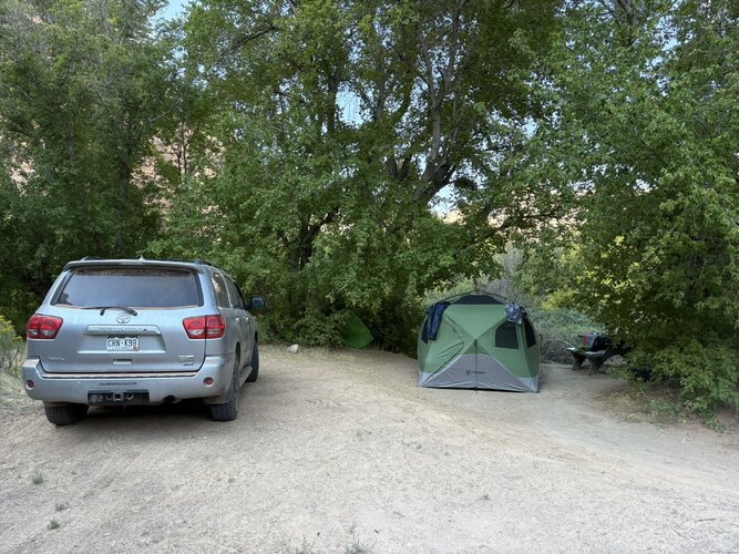 IMG_2003.JPEG IMG_2003.JPEG