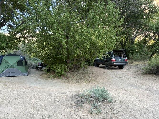 IMG_2004.JPEG IMG_2004.JPEG