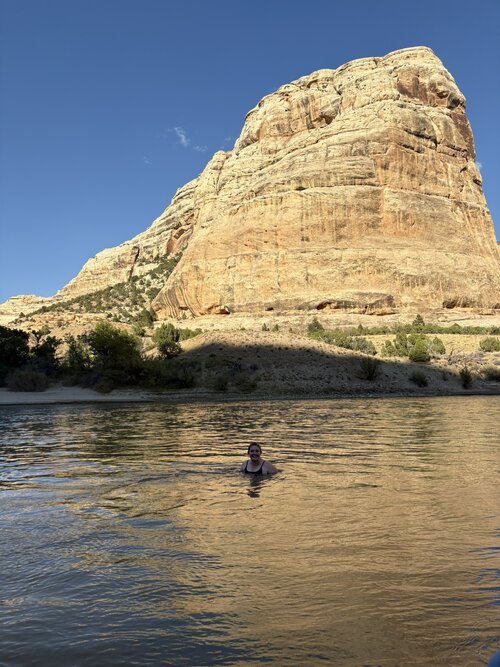 IMG_2007.JPEG IMG_2007.JPEG