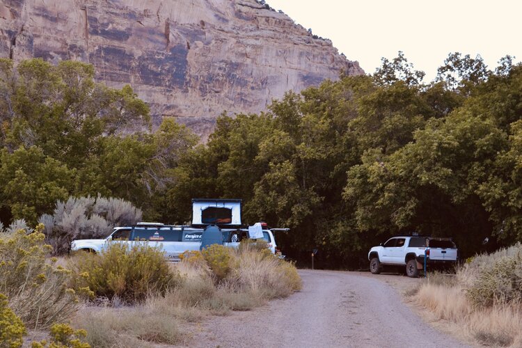 DSC_0113.jpg DSC_0113.jpg