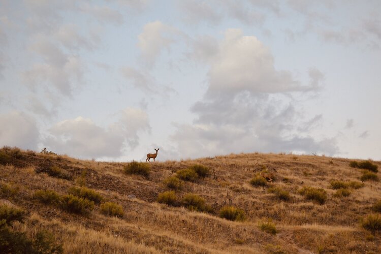 DSC_0023 2.jpg DSC_0023 2.jpg