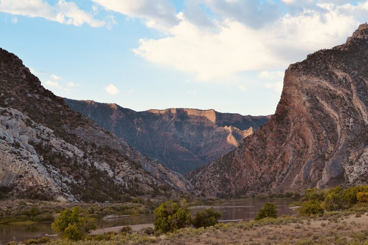 DSC_0095 2.jpg DSC_0095 2.jpg