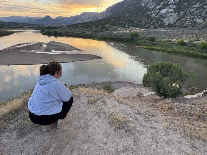 IMG_2016.JPEG IMG_2016.JPEG