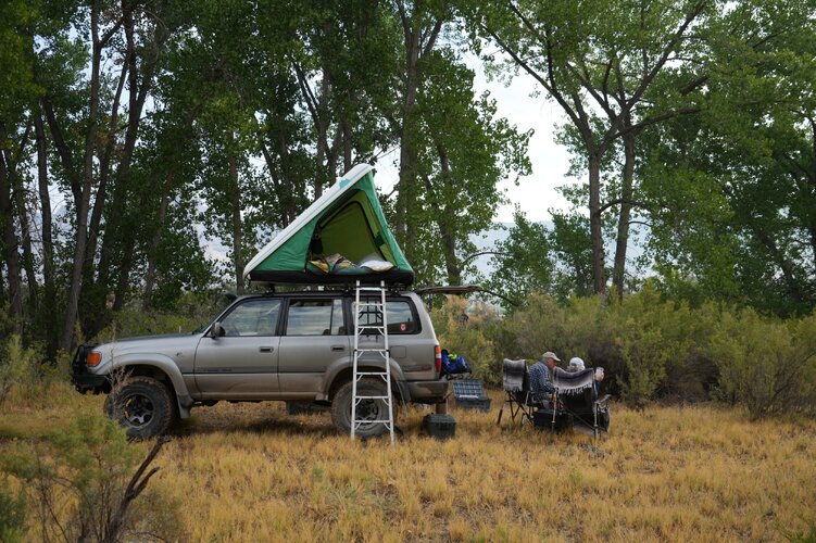 DSC01611.JPG DSC01611.JPG