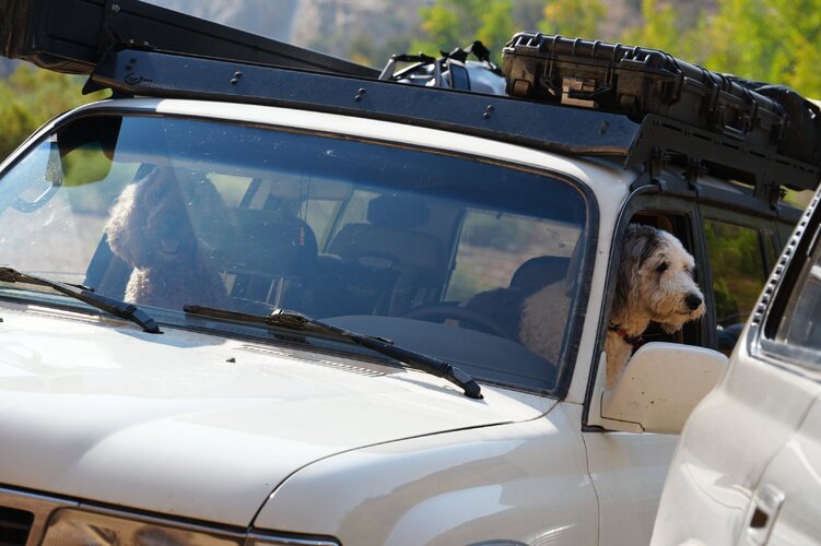 DSC01644.JPG DSC01644.JPG