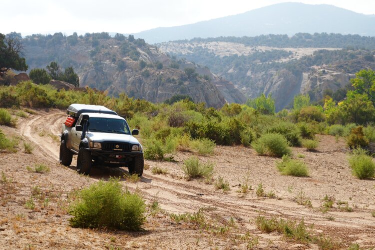 DSC01647.JPG DSC01647.JPG