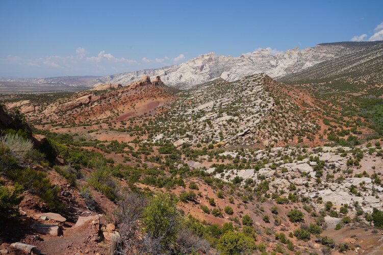 DSC01698.JPG DSC01698.JPG