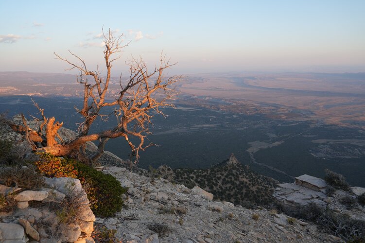 DSC01746.JPG DSC01746.JPG