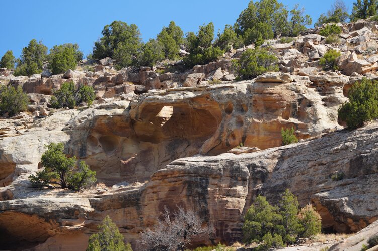 DSC01787.JPG DSC01787.JPG