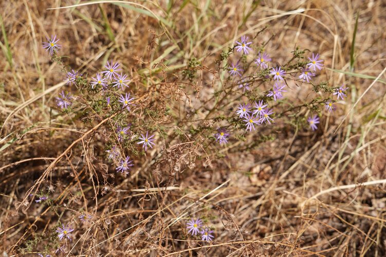 DSC01802.JPG DSC01802.JPG