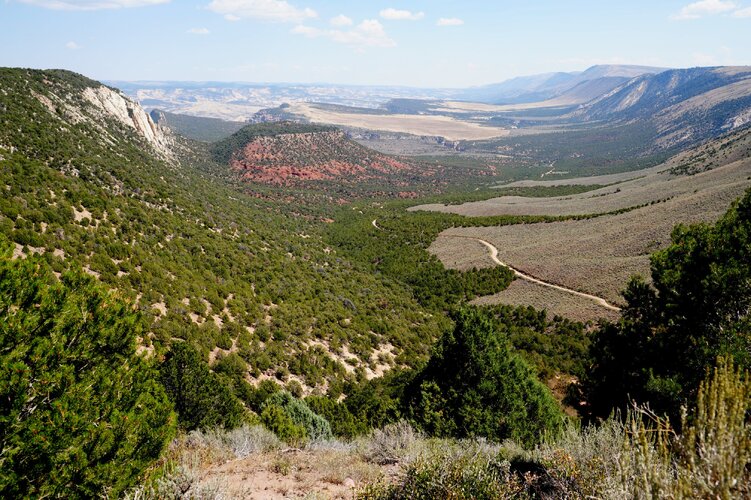 DSC01830-adj.jpg DSC01830-adj.jpg