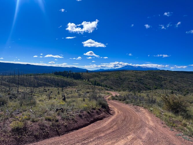 IMG_2777.jpeg IMG_2777.jpeg