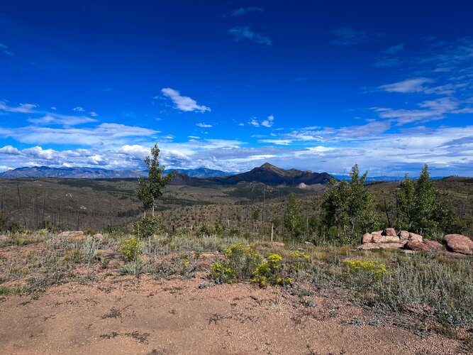 IMG_2778.jpeg IMG_2778.jpeg