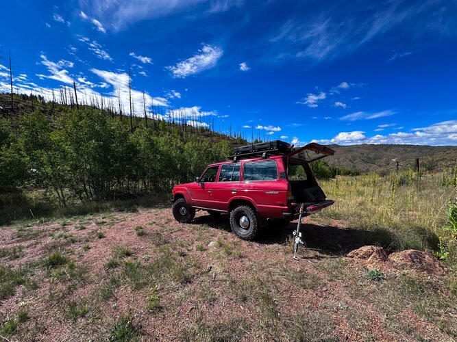 IMG_2779.jpeg IMG_2779.jpeg