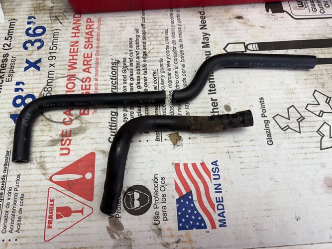 IMG_5853.jpeg IMG_5853.jpeg