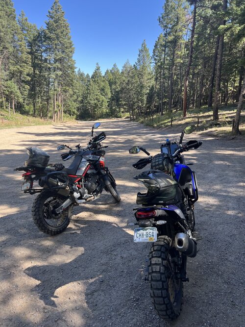 IMG_7494.jpeg IMG_7494.jpeg