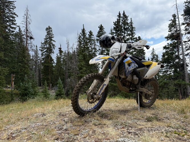 IMG_5370.jpeg IMG_5370.jpeg