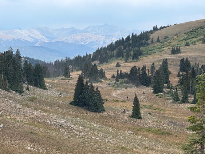 IMG_5387.jpeg IMG_5387.jpeg