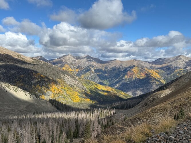 IMG_5803.jpeg IMG_5803.jpeg