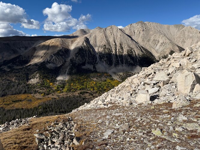 IMG_5833.jpeg IMG_5833.jpeg