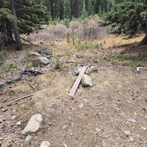 1000033512.jpg 1000033512.jpg