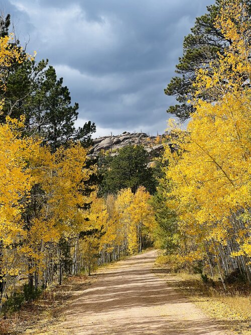 IMG_7739.jpeg IMG_7739.jpeg