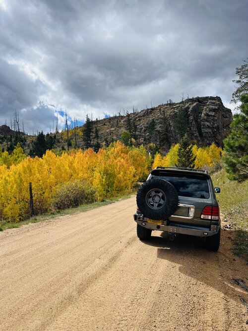 IMG_7727.jpeg IMG_7727.jpeg