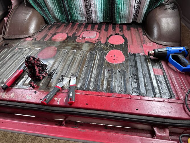 IMG_2859.jpeg IMG_2859.jpeg