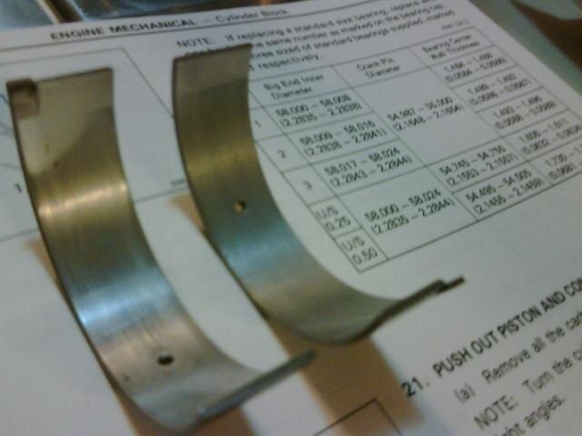 #5 rod bearings.JPG