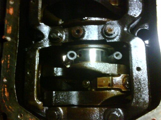 IMG00009-20091017-1209 (Small).jpg